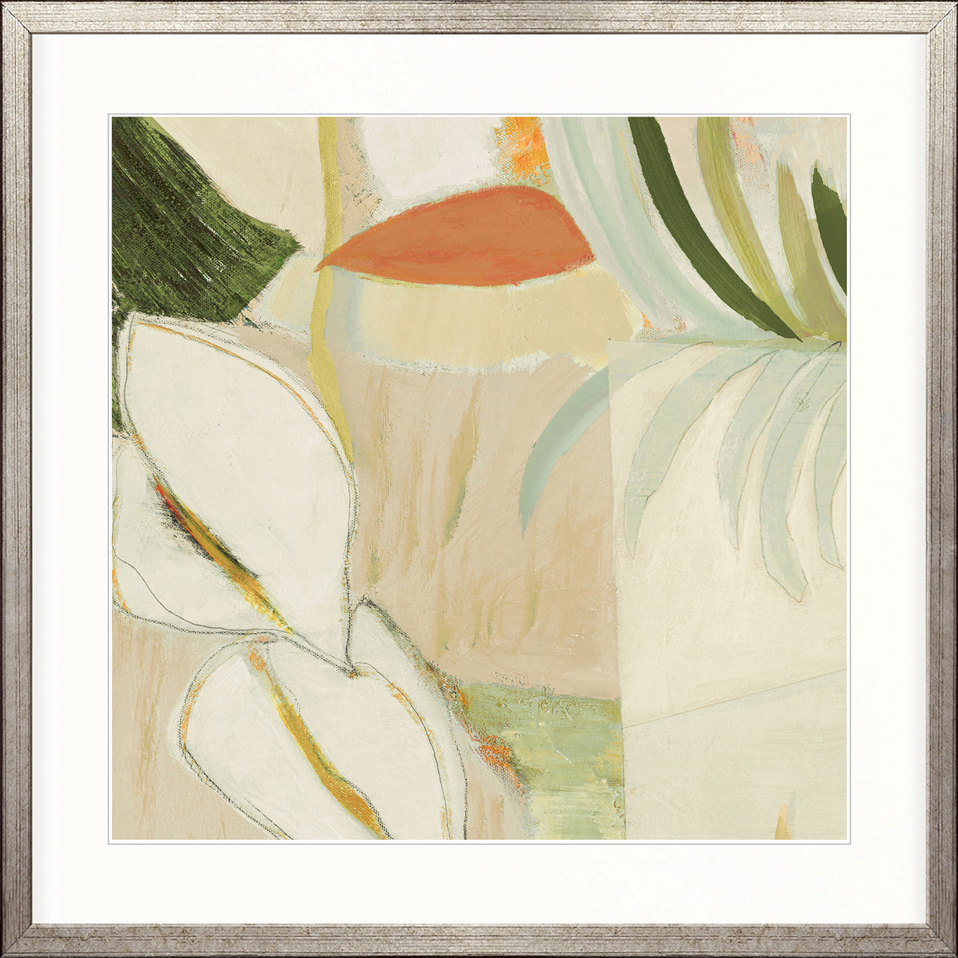 Nova Tropics XII