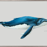 Humpback Whale (Canvas)