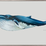 Blue Whale (Canvas)