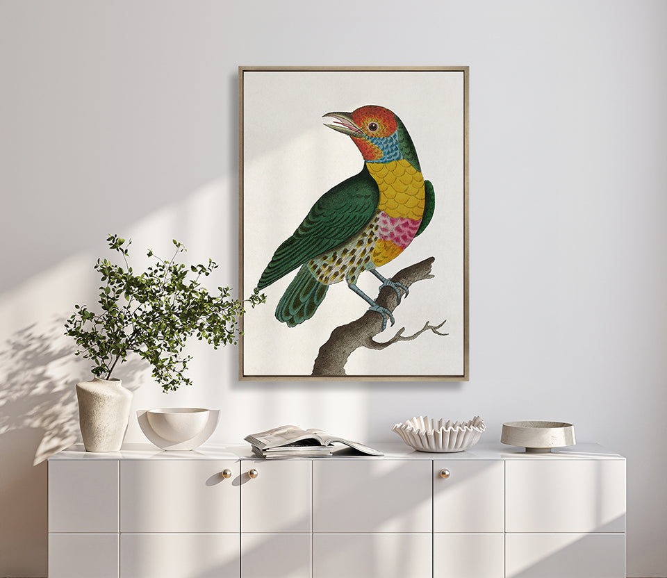 Shaw Ornithology I (Canvas)