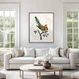 Shaw Ornithology II Small (465mm W x 560mm H) / Standard Clear Glass