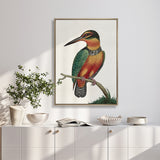 Shaw Ornithology IV (Canvas) Large (903mm W x 1109mm H)