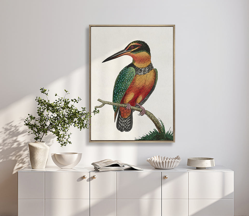 Shaw Ornithology IV (Canvas)