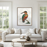 Shaw Ornithology IV Small (465mm W x 560mm H) / Standard Clear Glass