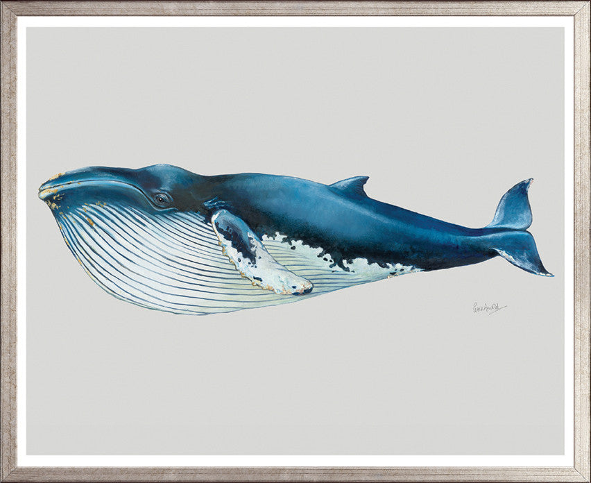 Blue Whale