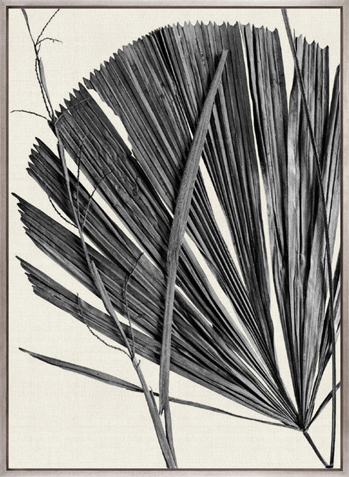 Asiatic Palm II (Canvas)