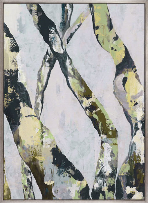 Paperbark Vista IV (Canvas)