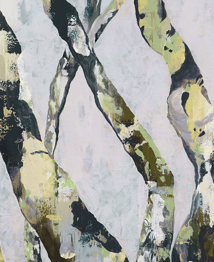 Paperbark Vista IV (Canvas)