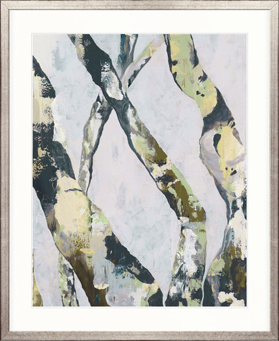 Paperbark Vista IV
