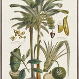 Tropicano Delight I (Canvas)