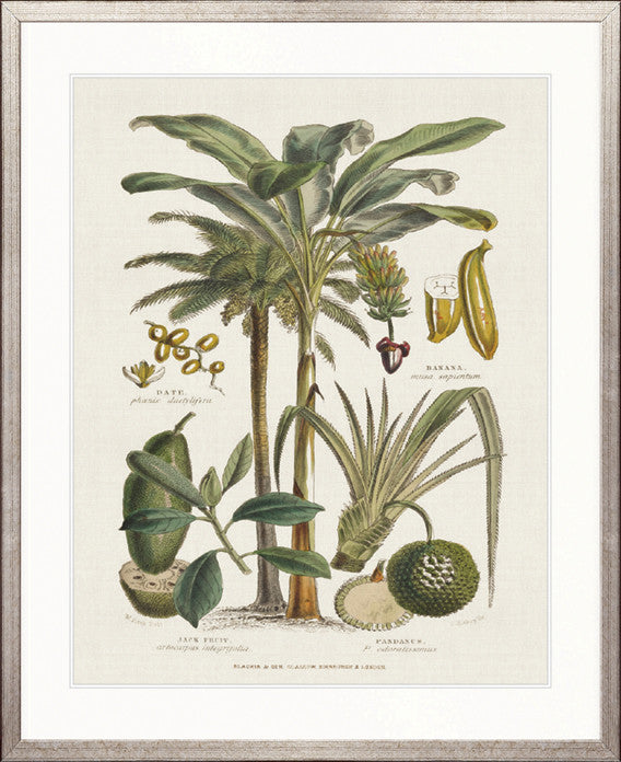 Tropicano Delight I