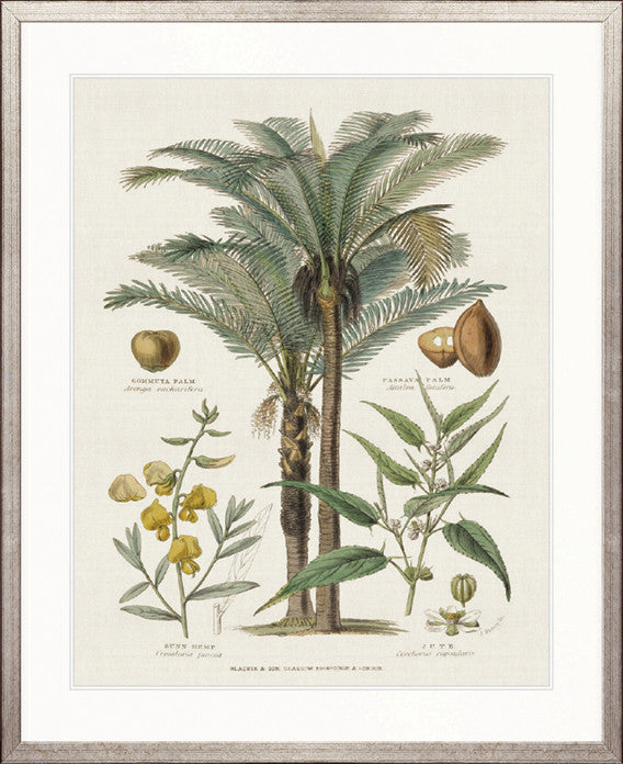 Tropicano Delight II