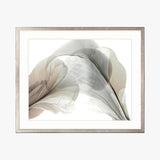 Foliage Sculpture IV Small (465mm W x 560mm H) / Non-Reflective Glass