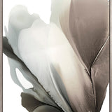 Foliage Sculpture V (Canvas)