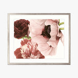 Peonies & Roses I Small (465mm W x 560mm H) / Non-Reflective Glass