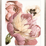 Peonies & Roses II