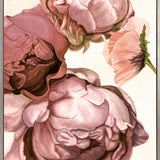 Peonies & Roses III (Canvas)