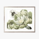 Peonies & Roses VI Small (465mm W x 560mm H) / Non-Reflective Glass