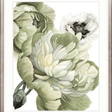 Peonies & Roses VI