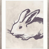 Petit Lapin XV