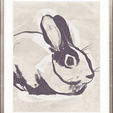Petit Lapin XVI