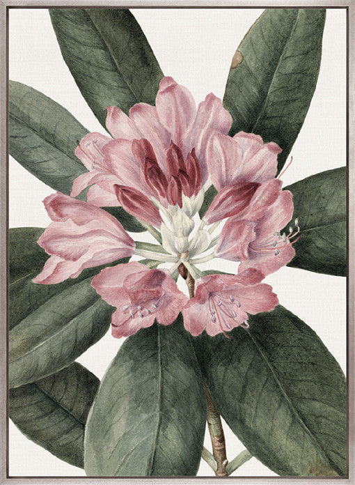 Phillipson Floral I (Canvas)