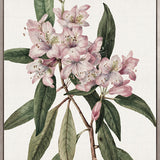 Phillipson Floral II (Canvas)