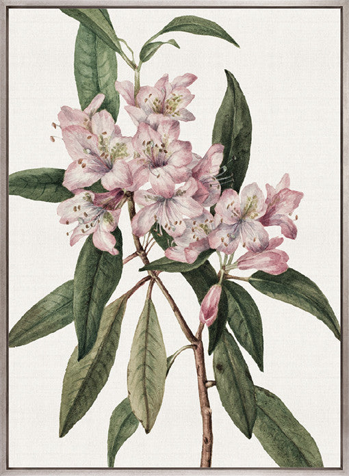 Phillipson Floral II (Canvas)