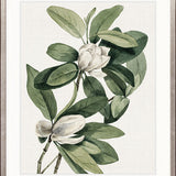 Phillipson Floral IV