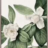 Phillipson Floral VI (Canvas)