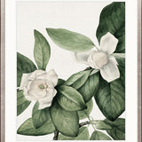 Phillipson Floral VI