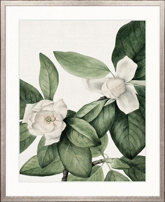 Phillipson Floral VI