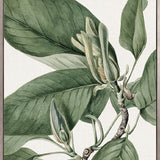 Phillipson Floral VII (Canvas)