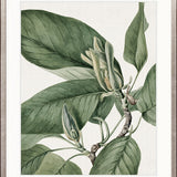 Phillipson Floral VII