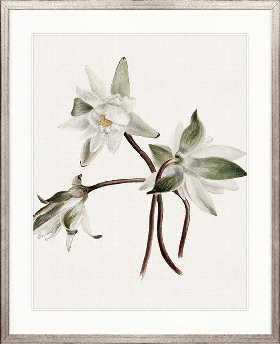 Phillipson Floral VIII