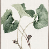 Phillipson Floral IX (Canvas)