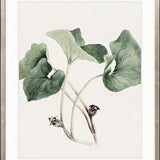 Phillipson Floral IX