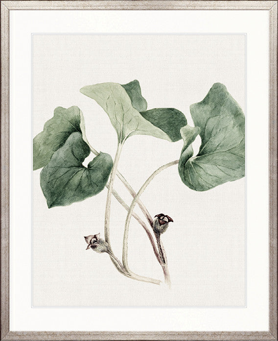Phillipson Floral IX