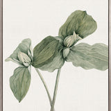Phillipson Floral X (Canvas)