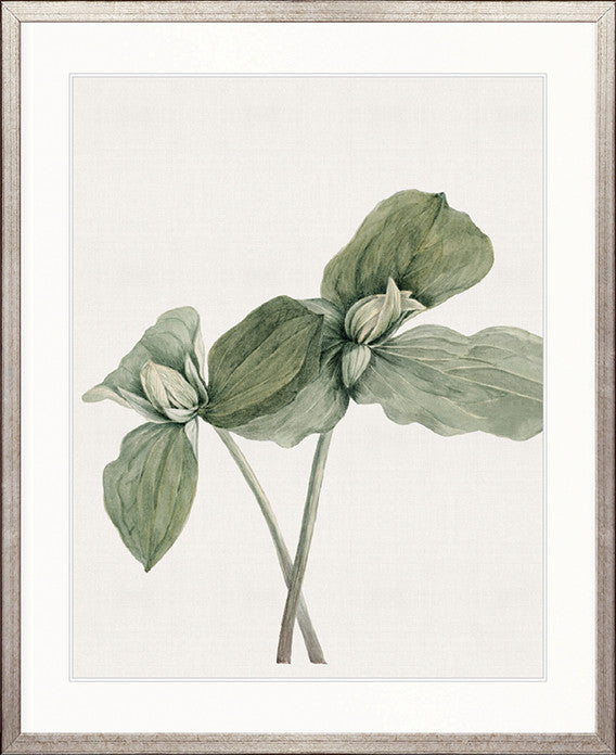 Phillipson Floral X