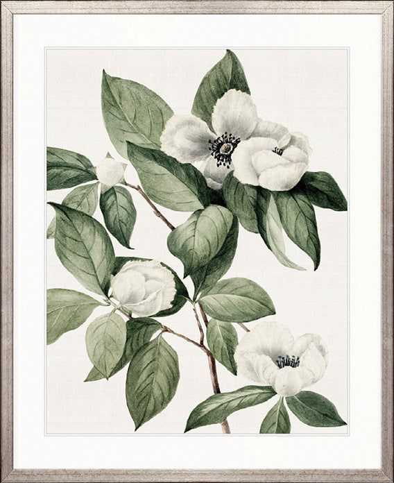Phillipson Floral XI