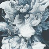 Pivoine II Small (465mm W x 560mm H) / Standard Clear Glass