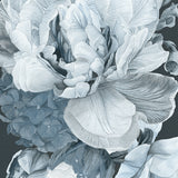 Pivoine III Small (465mm W x 560mm H) / Standard Clear Glass