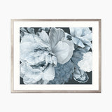 Pivoine III Small (465mm W x 560mm H) / Standard Clear Glass