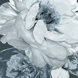 Pivoine IV (Canvas) Large (903mm W x 1109mm H)