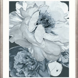 Pivoine IV Small (465mm W x 560mm H) / Standard Clear Glass