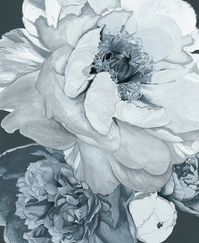 Pivoine IV