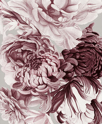 Pivoine V (Canvas)