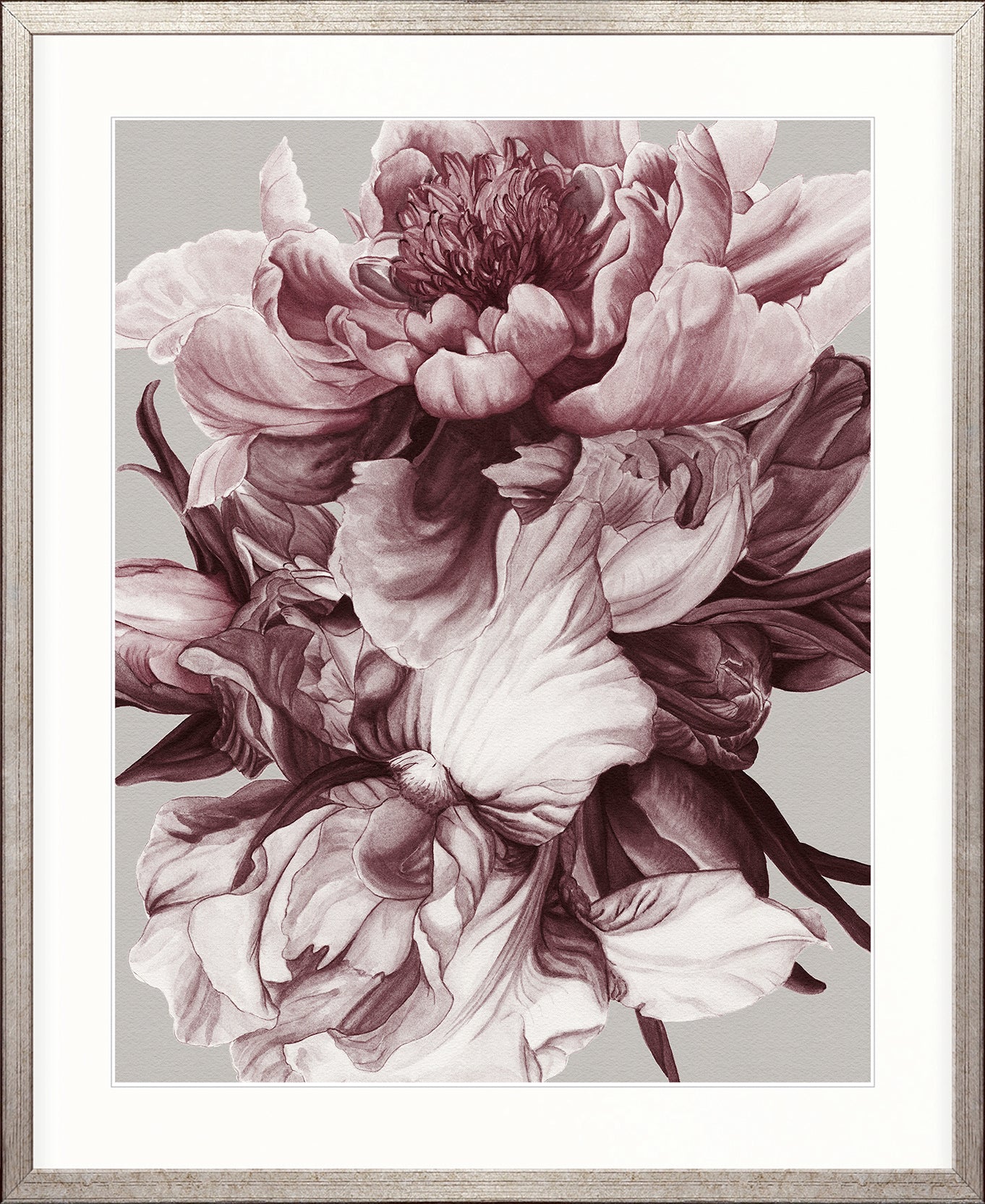 Pivoine VI
