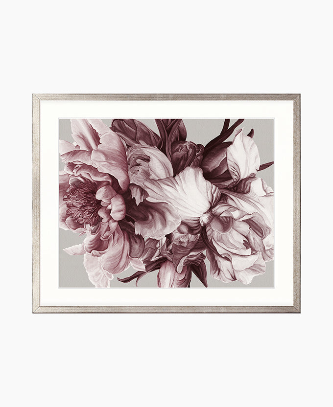 Pivoine VI